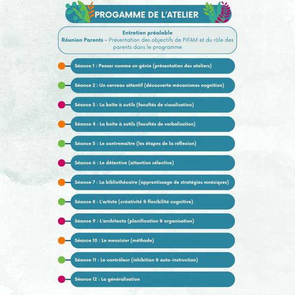 PIFAM, renforcement de l'attention,, fonctions exécutives, métacognition, rééducation, Bruges